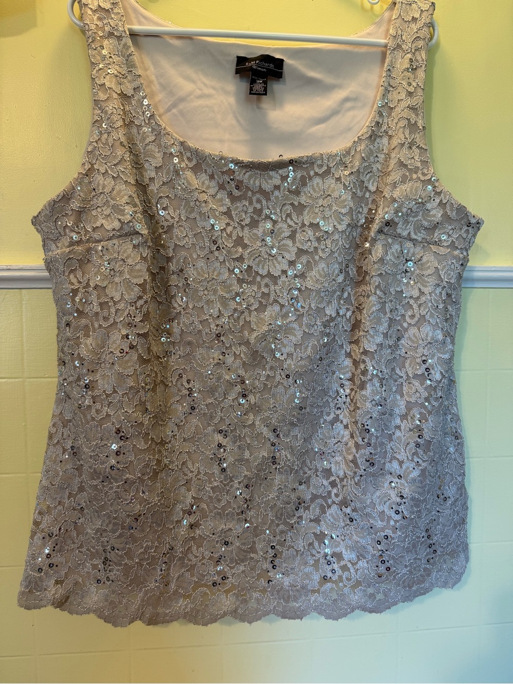 R&M Richards Silver Lace Sequin Scoop Neck Camisole